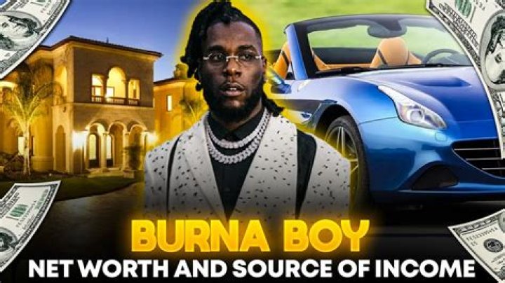 Burna Boy net worth, income and estimated earnings of Youtuber channel