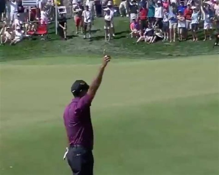 Can Tiger Woods Dunk?