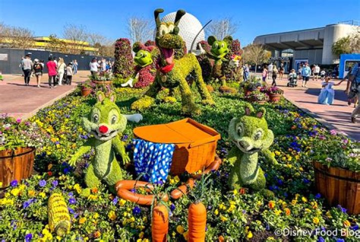 The Gardens and Flowers of Walt Disney World