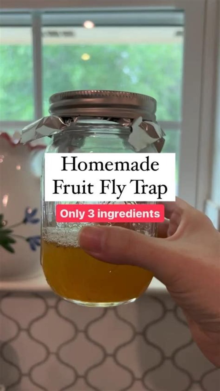 The No. 1 Thing Attracting Fruit Flies to Your Kitchen — Best Life