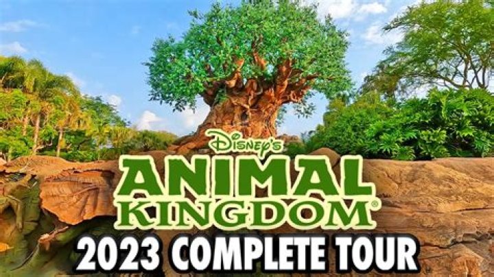 The Stork has Arrived at Animal Kingdom – the Newest Baby Animals of 2020!