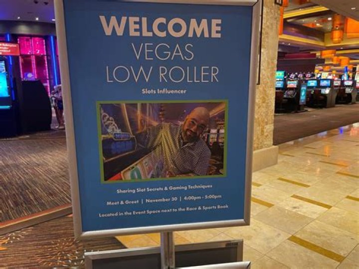 VegasLowRoller video statistics